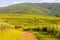 vineyards, Alsace, France