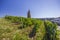 Vineyards with Arbois church, Department Jura, Franche-Comte, France