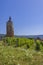 Vineyards with Arbois church, Department Jura, Franche-Comte, France