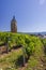 Vineyards with Arbois church, Department Jura, Franche-Comte, France