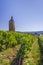 Vineyards with Arbois church, Department Jura, Franche-Comte, France