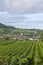 Vineyards with Arbois town, Department Jura, Franche-Comte, France