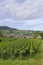 Vineyards with Arbois town, Department Jura, Franche-Comte, France