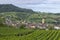 Vineyards with Arbois town, Department Jura, Franche-Comte, France