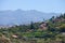 Vineyards around Bandama