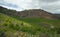 Vineyards around Bandama