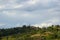 Vineyards around Barolo, Piedmont - Italy