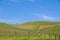 Vineyards around Barolo, Piedmont - Italy