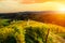 Vineyards with a autumn  in Spicnik, Slovenia