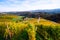 Vineyards with a autumn  in Spicnik, Slovenia