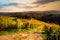 Vineyards with a autumn  in Spicnik, Slovenia