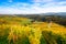 Vineyards with a autumn  in Spicnik, Slovenia