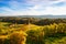 Vineyards with a autumn  in Spicnik, Slovenia