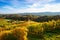 Vineyards with a autumn  in Spicnik, Slovenia