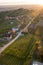 Vineyards in autumn at sunset in Slovenian hills