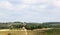 Vineyards in Badia di Passignano, Tuscany, Italy