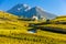 vineyards below church at Conthey, Sion region, canton Valais, S