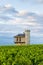 Vineyards, Burgundy, France