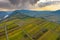 Vineyards in the Calmont region / Germany