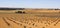 Vineyards in Castilla