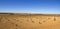 Vineyards in Castilla la Mancha, Spain.