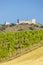 vineyards, castle Devicky, Palava, Moravia region, Czech Republic