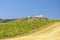 vineyards, castle Devicky, Palava, Moravia region, Czech Republic