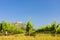 vineyards, castle Devicky, Palava, Moravia region, Czech Republic