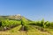 vineyards, castle Devicky, Palava, Moravia region, Czech Republic