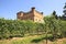 Vineyards and castle of Grinzane Cavour.