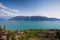 Vineyards of the Chexbres region over lake of Geneva