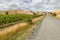 Vineyards with country road in New Zealand