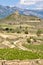 Vineyards and Davalillo castle, La Rioja