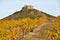 Vineyards and Davalillo castle, La Rioja