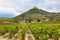 Vineyards and Davalillo castle, La Rioja Spain