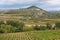 Vineyards and Davalillo castle, La Rioja Spain