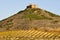 Vineyards and Davalillo castle, La Rioja (Spain)