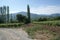 The vineyards of Demir Kapija, Macedonia