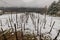 Vineyards in Dolenjska region in slovenia under spring snow. Vineyard already ready for spring but sudden snow falls over the