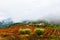 Vineyards in Douro river valley in misty morning, Portugal