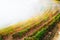 Vineyards in Douro river valley in misty morning, Portugal
