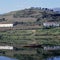 Vineyards of the Douro Valley