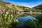 Vineyards of the Douro valley in Portugal