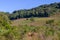 Vineyards and farms in winter, Vale dos Vinhedos valley