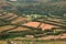 Vineyards in fertile valley