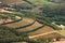 Vineyards in fertile valley