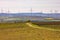 Vineyards and fields in front of a wind farm with many wind turbines for the energy transition in Germany