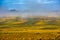 Vineyards in the foggy autumn morning, Burgundy, France