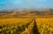 Vineyards in the foggy autumn morning, Burgundy, France