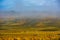 Vineyards in the foggy autumn morning, Burgundy, France